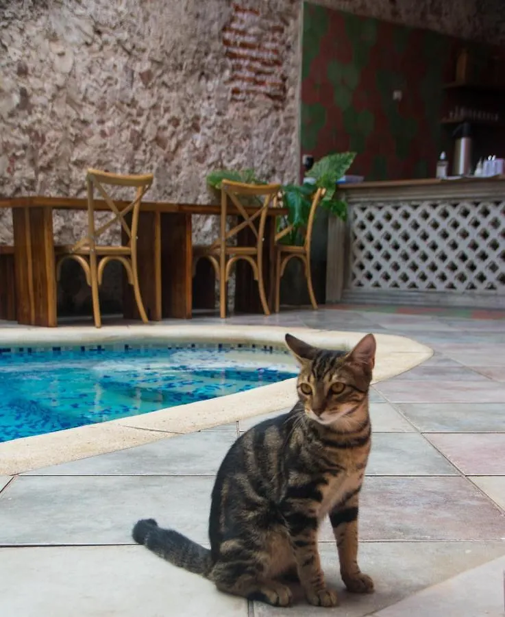 Hotel Casa Zahri Boutique Hostel Cartagena